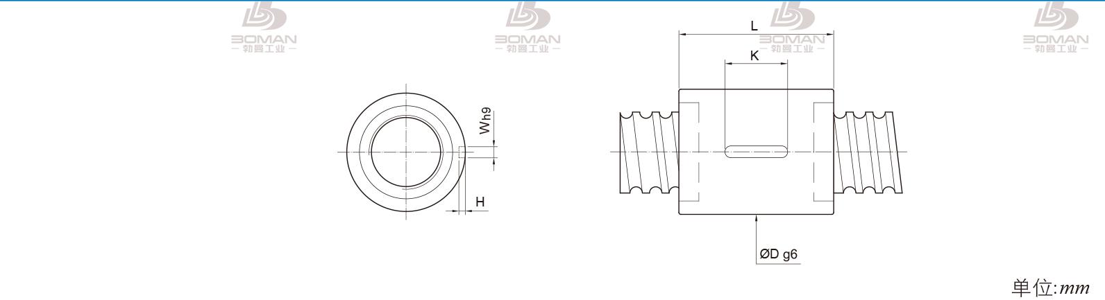 PMI RSIC10020-5 pmi滚珠丝杆的轴环作用